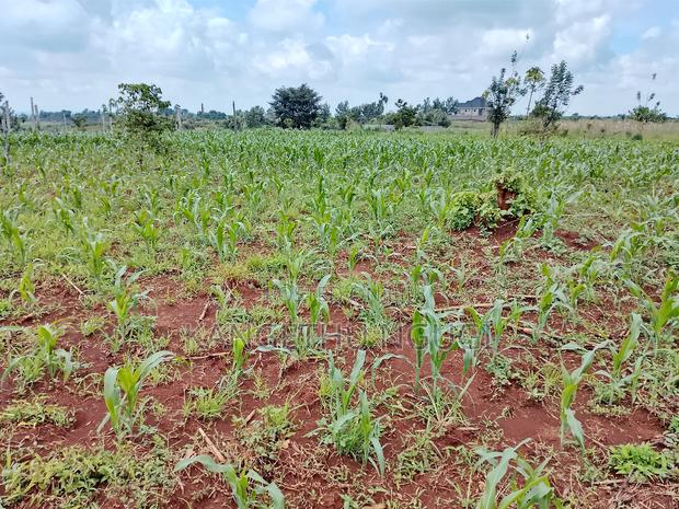 Two Plots Matropi Estate Kiambu - thumbnail 3