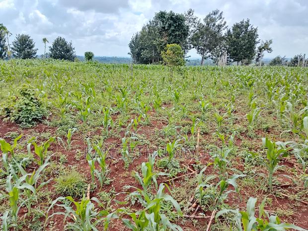 Two Plots Matropi Estate Kiambu - thumbnail 5