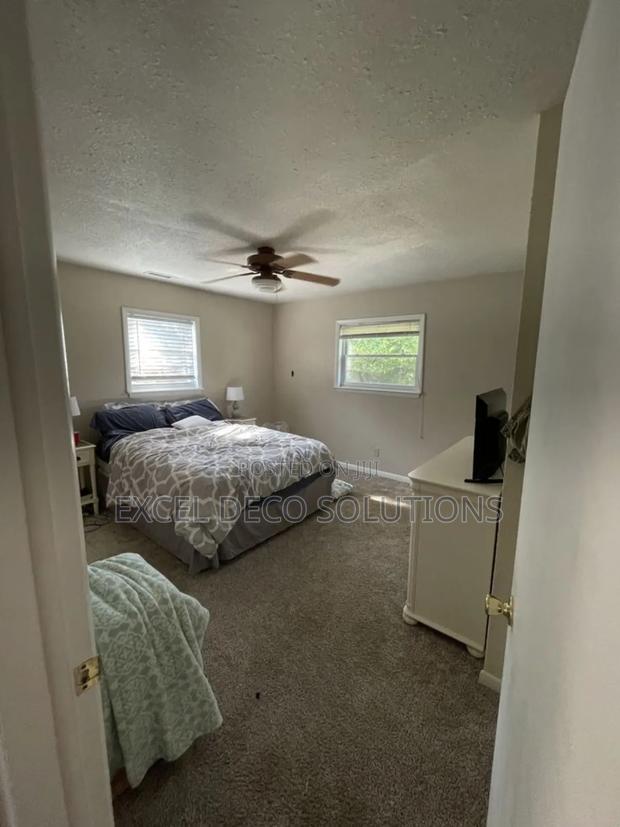 Perfect for Pets: Stain-Resistant Carpet Solutions - main view