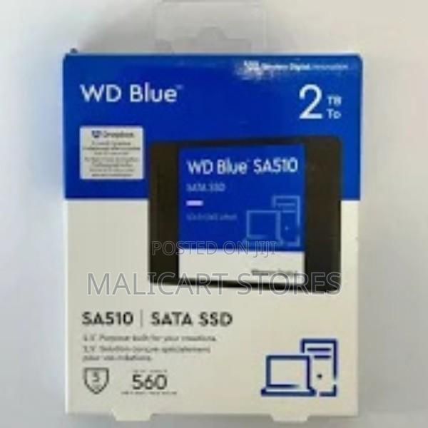 Wd Blue Sa510 2.5-Inch 2tb Sata Iii Internal SSD
