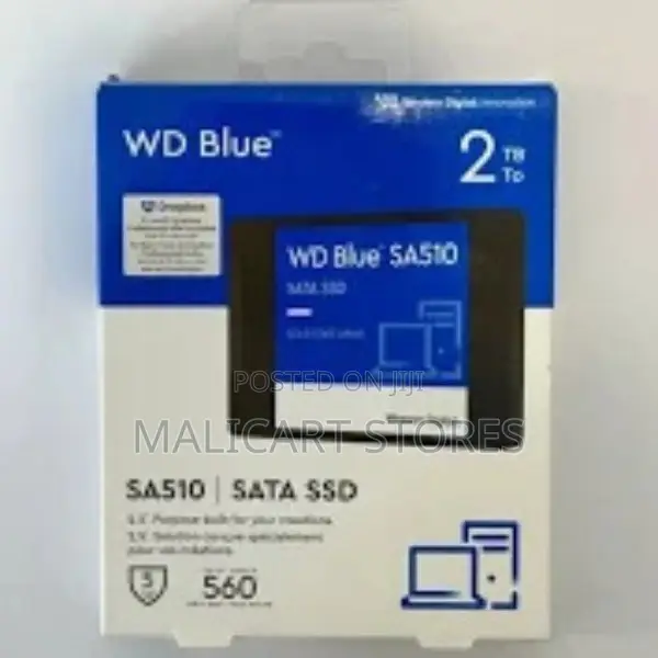 Wd Blue Sa510 2.5-Inch 2tb Sata Iii Internal SSD