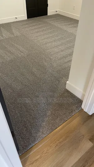 Luxury Velvet Wall to Wall Carpet – Ultra-Soft Elegant Finish