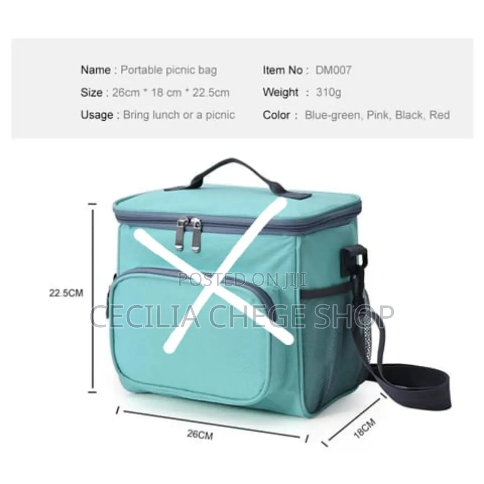 Lunch Insulated Bag
