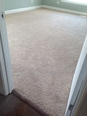 Soft Luxury Wall to Wall Carpet – Cozy Flooring for Every Room