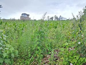 Two 40x80 Adjoining Plots at Anmer Estate - main view