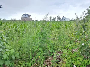 Two 40x80 Adjoining Plots at Anmer Estate