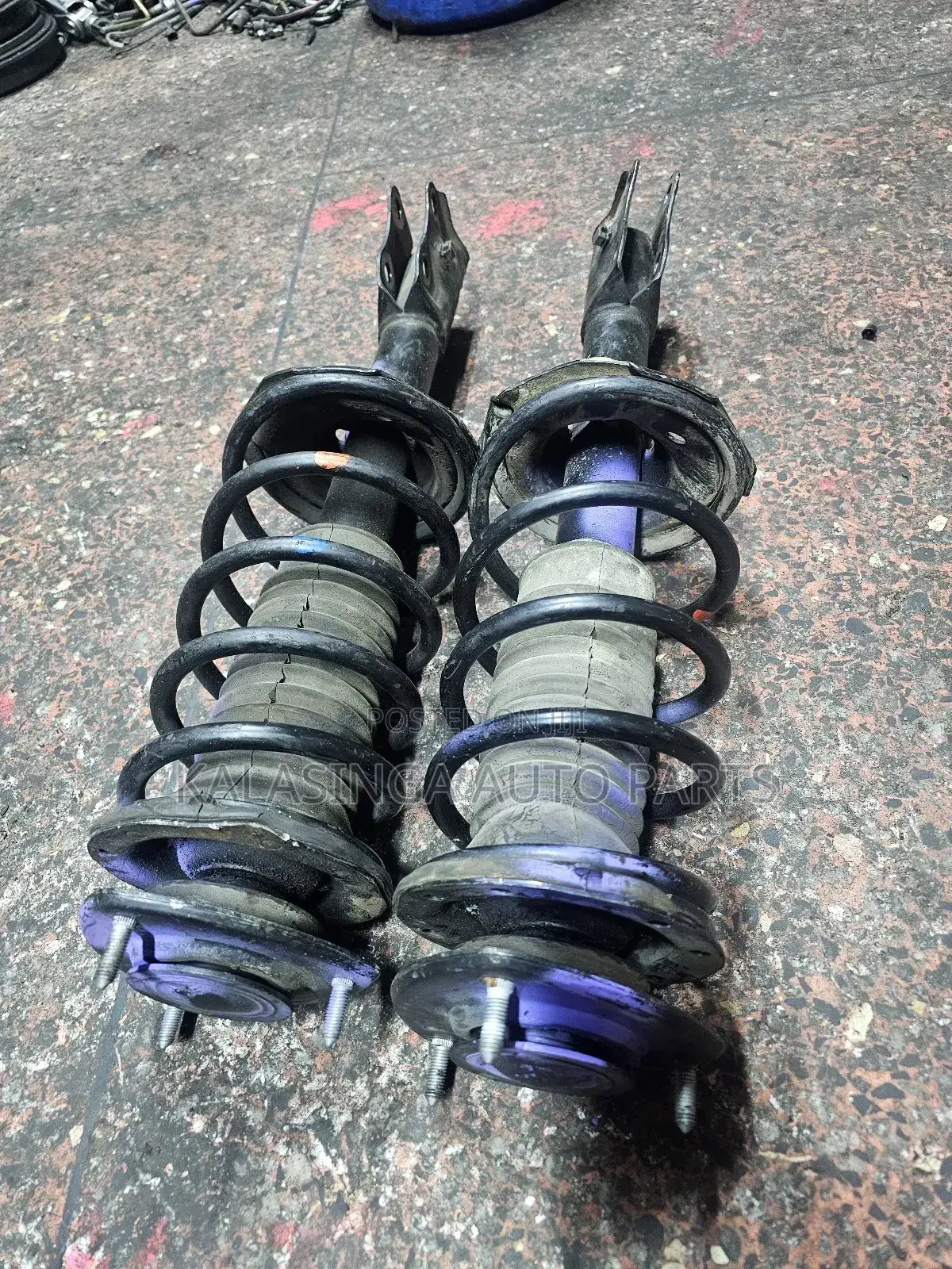 Probox Shock