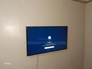 Professional Tv Mounting.