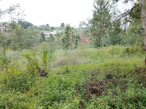 50x100 Plots at Kagongo Tinganga