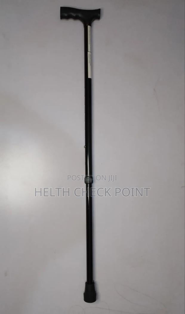 Walking Stick/Cane - main view