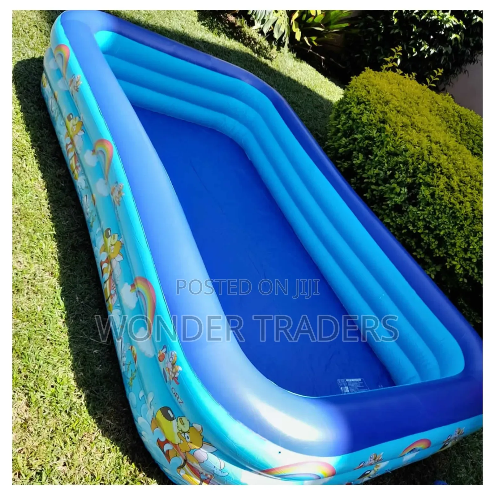 Swimming Pool 4.2m