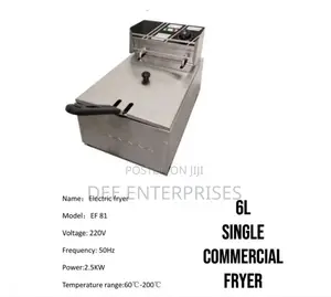 6l Commercial Electric Deep Fryer.