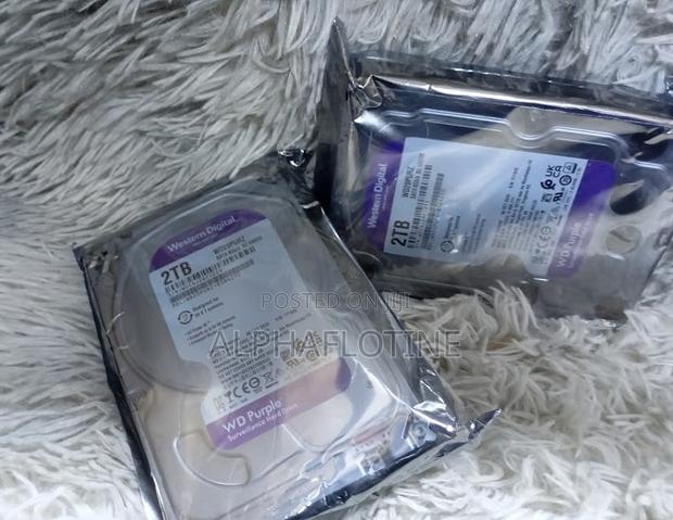 Western Digital Wd 2tb CCTV Surveillance Hard Disk(Desktop)