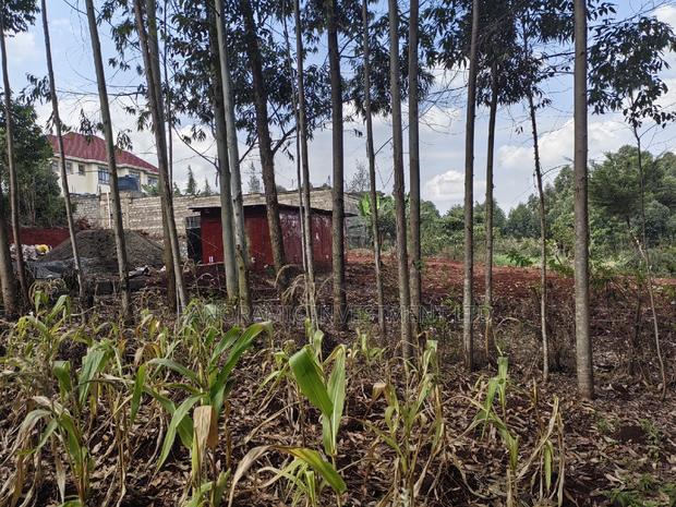 50x100 Plot for Sale in Ondiri Kikuyu Kiambu County.