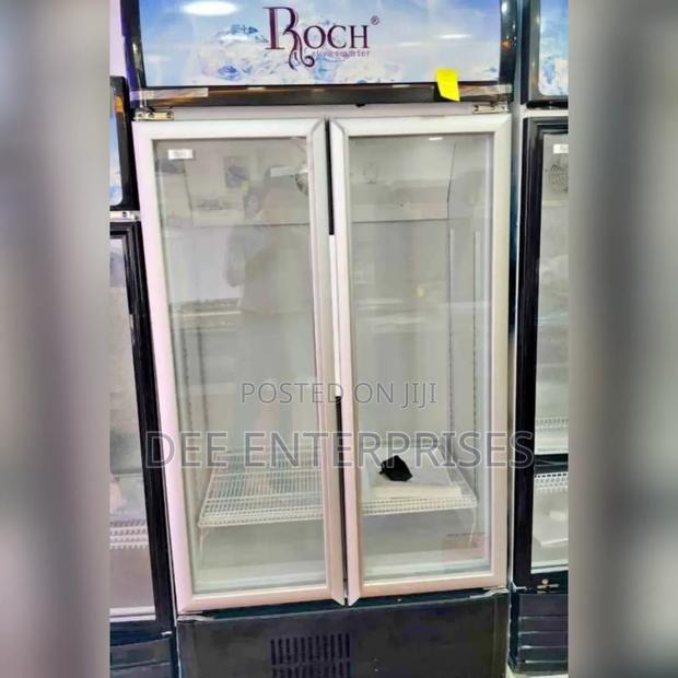 Roch 510l Double Door Showcase Chiller RSF-510-O