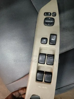 Isis Door Main Switch