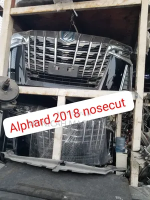 Alphard 2018 Nose Cut