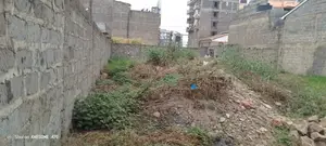 55 by 116 Plot in Ruiru Kihunguro 200 MTRS From Thika Super Highway