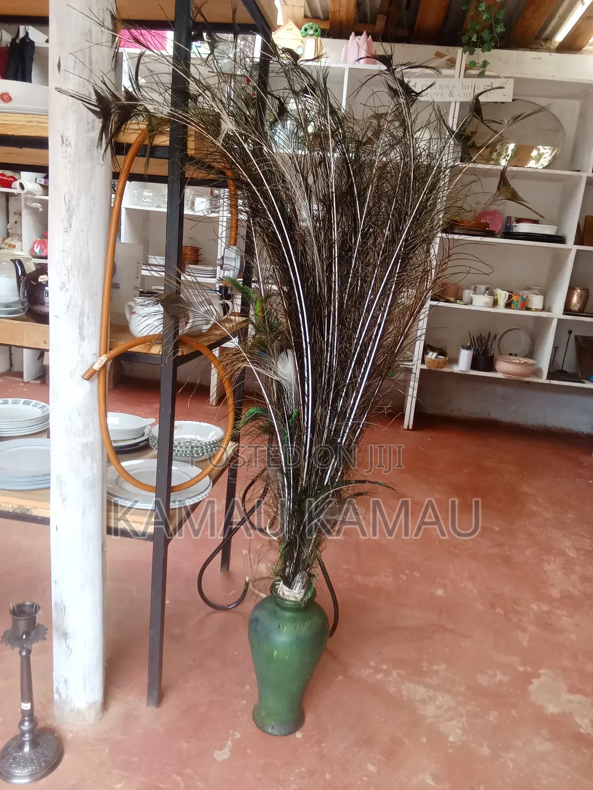 Peacock Decor