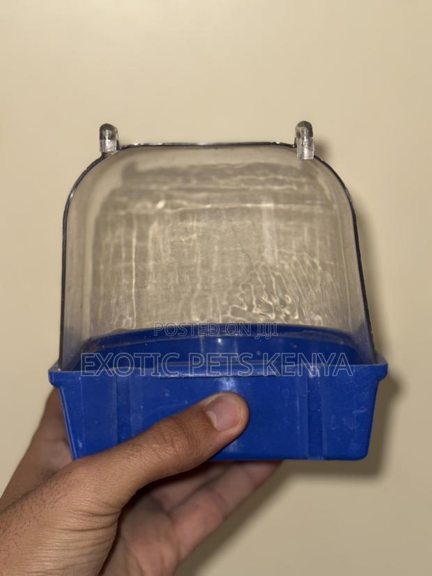 Bird Bath for Sale - thumbnail 5