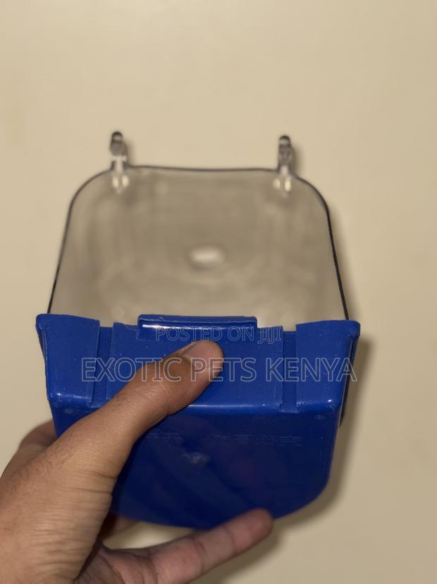 Bird Bath for Sale - thumbnail 6