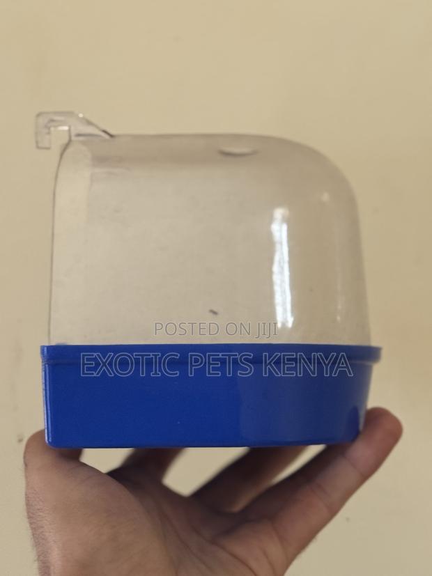 Bird Bath for Sale - thumbnail 4