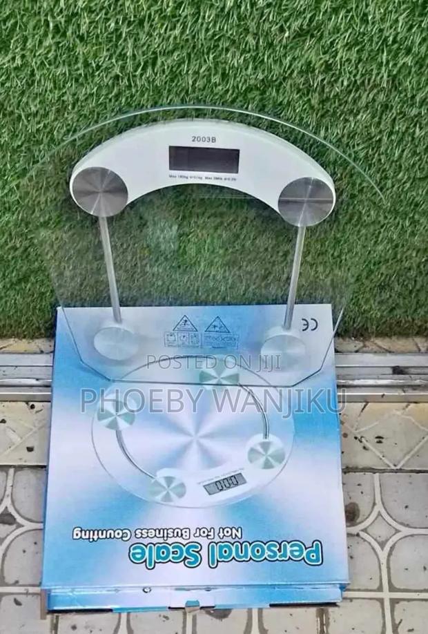 Portable Personal Scale - main view