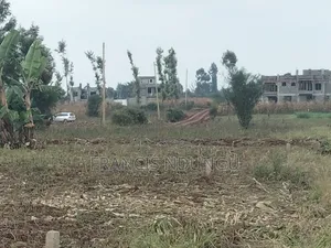 Residential Plots Near Kiambu Town for Sale