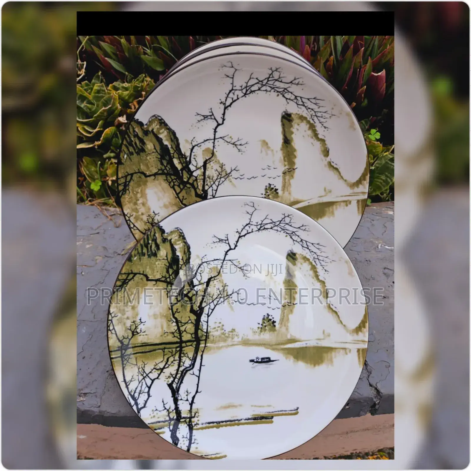 Set of 6 Plates -Decorated