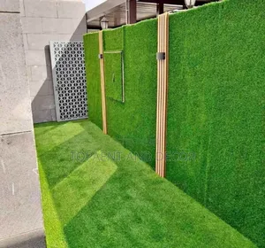 Decorative Artificial Grass Carpet for Wall and Floor