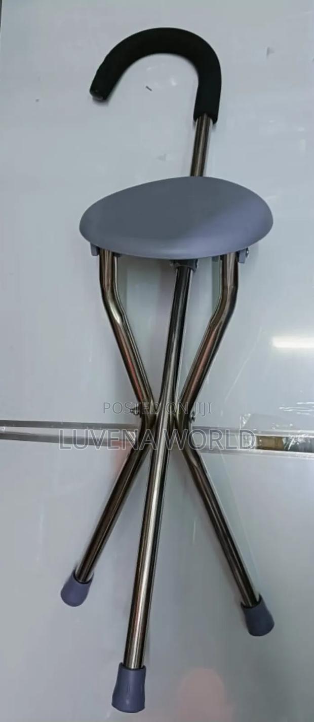 Generic Walking Sticks - main view