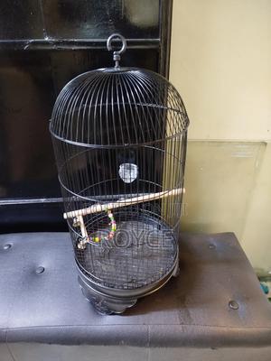 Round Bird Cage - thumbnail 2