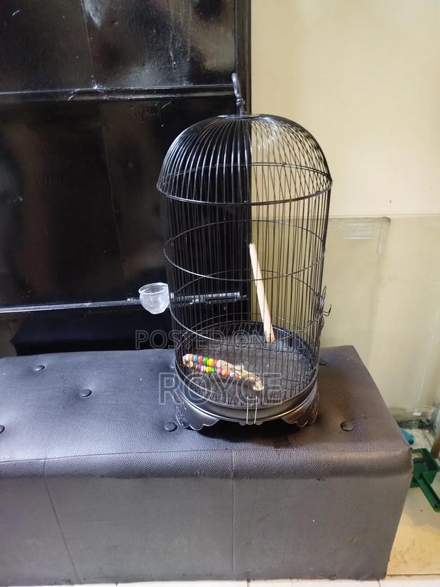 Round Bird Cage - thumbnail 3