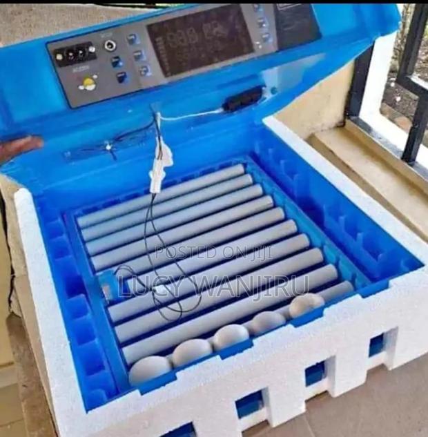 64 Eggs Incubator With Automatic Roller/ Egg Incubator - main view