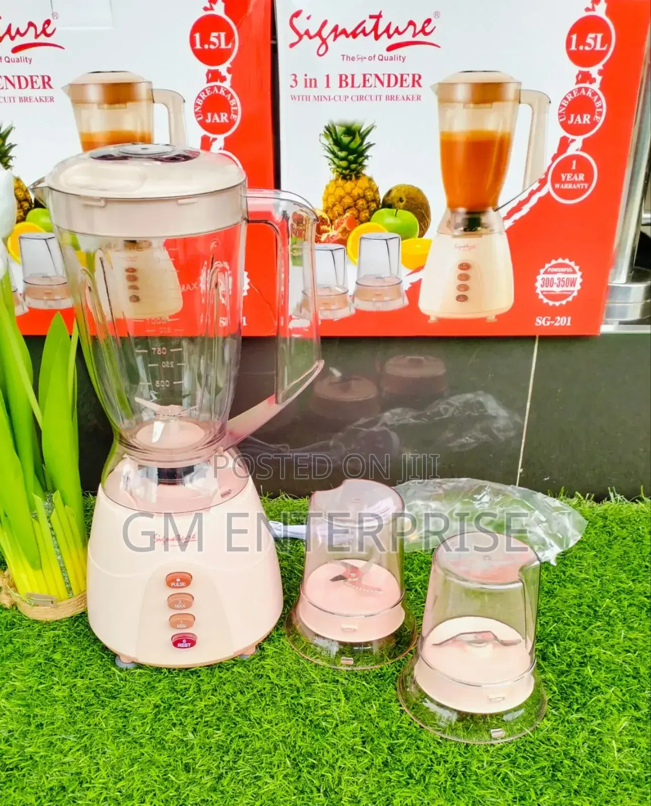3 in 1 Signature Blender With Grinder