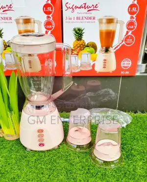 3 in 1 Signature Blender With Grinder