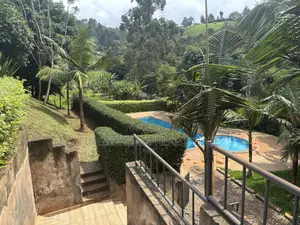 1 Bedroom Furnished Apartment