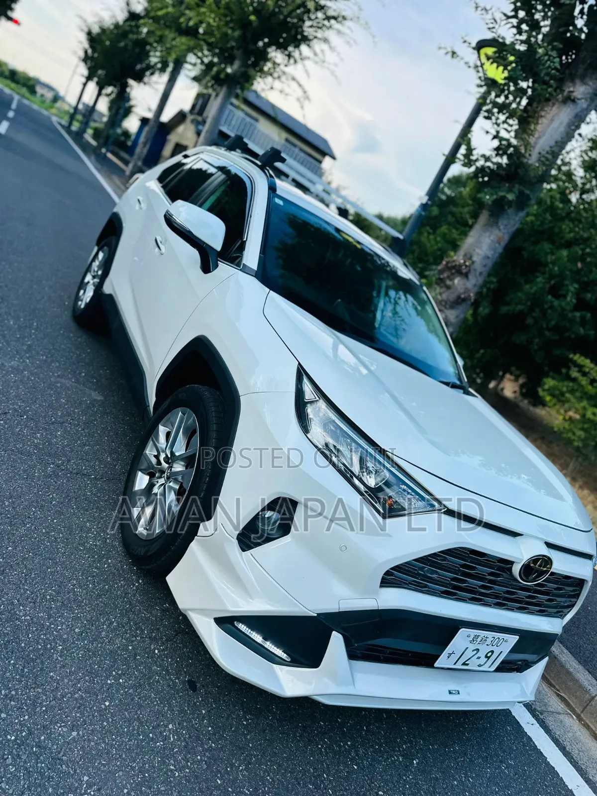 Toyota RAV4 Limited AWD 2019 White