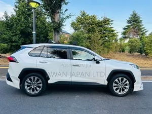 Toyota RAV4 Limited AWD 2019 White