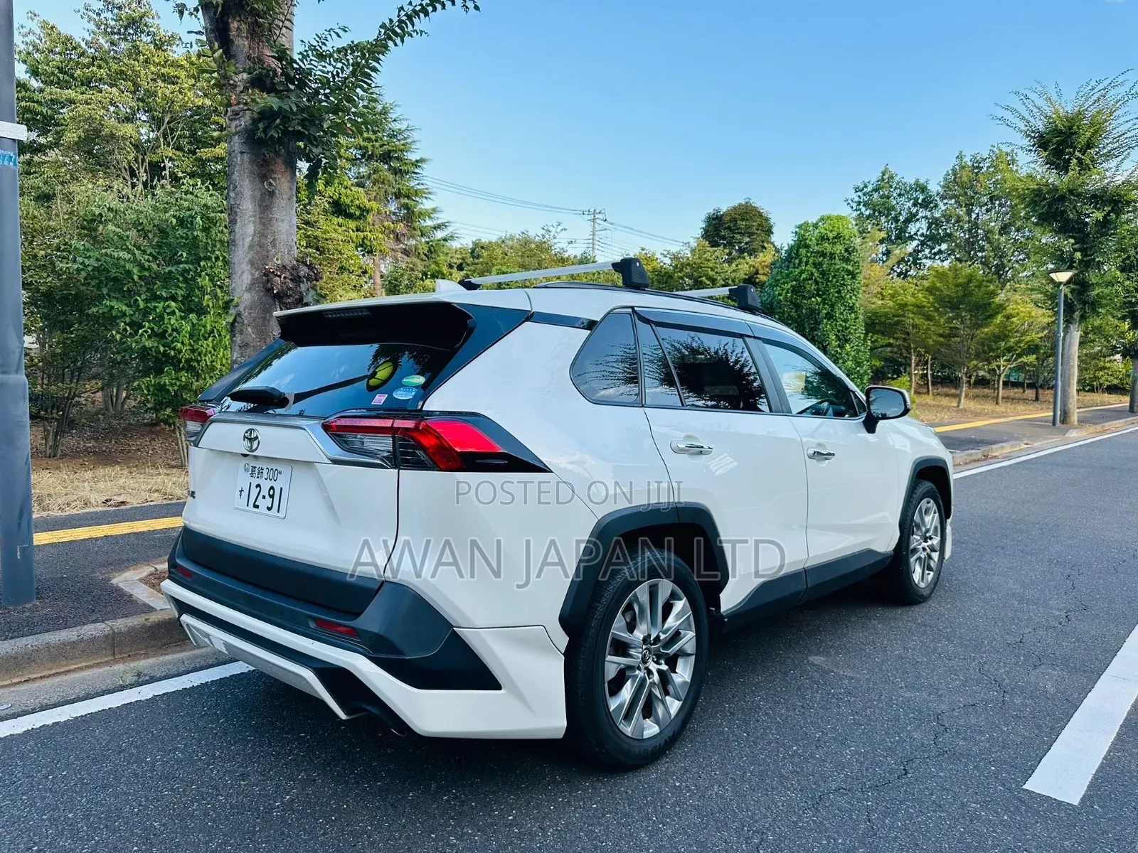 Toyota RAV4 Limited AWD 2019 White
