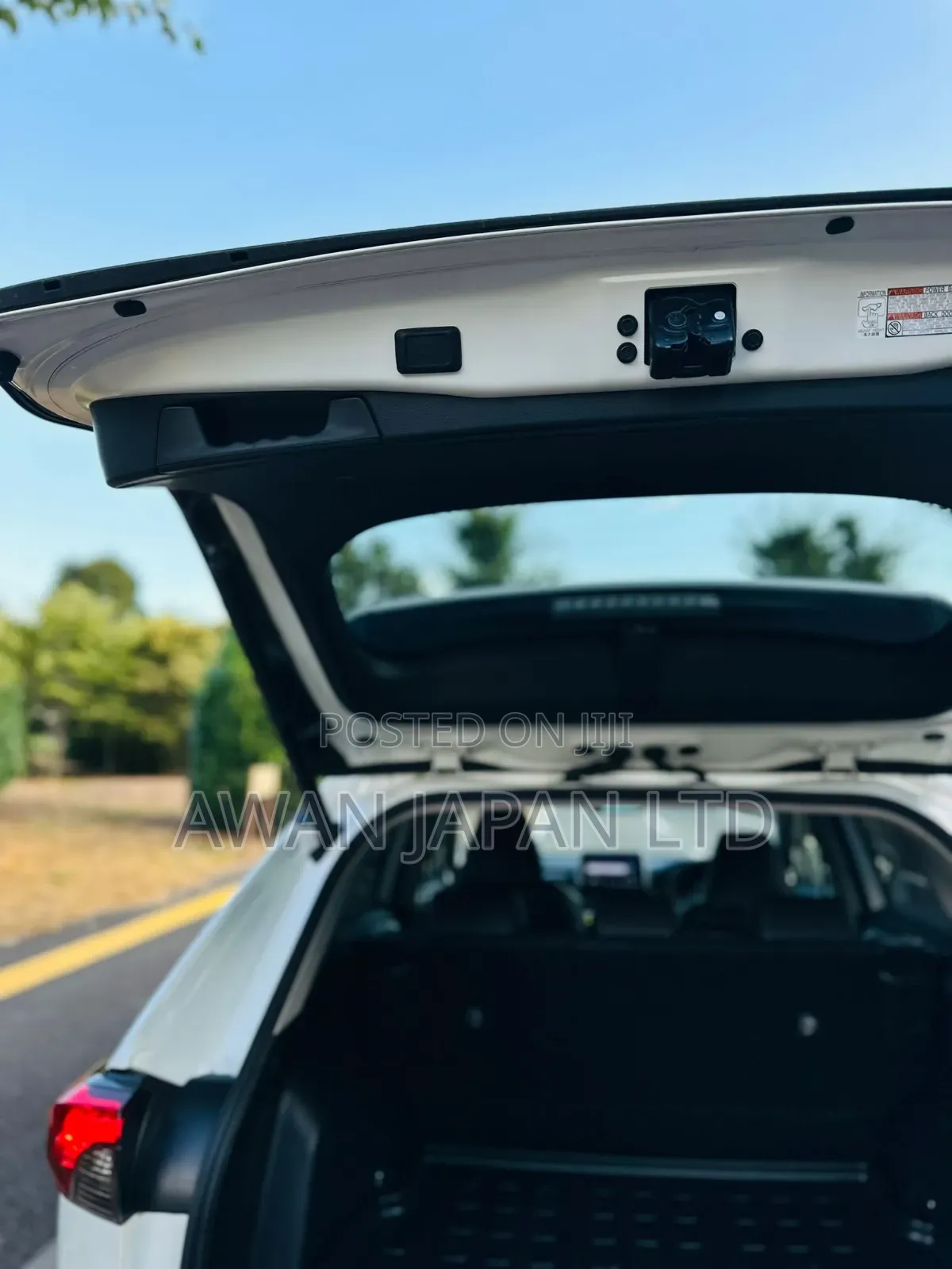 Toyota RAV4 Limited AWD 2019 White