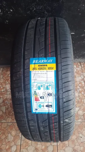 255/45r20 Bearway Tyre