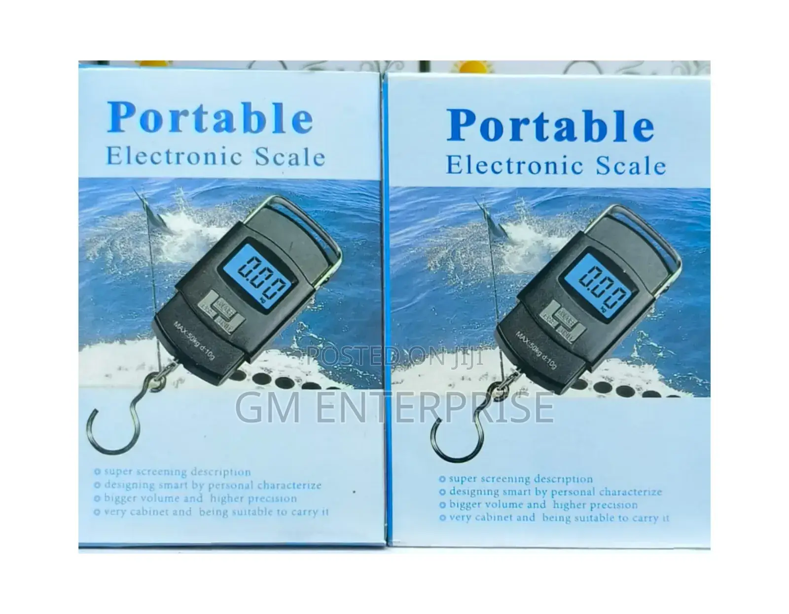 Portable Electronic Weighing Scale