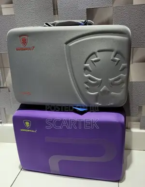 Ps5 Standard Bags