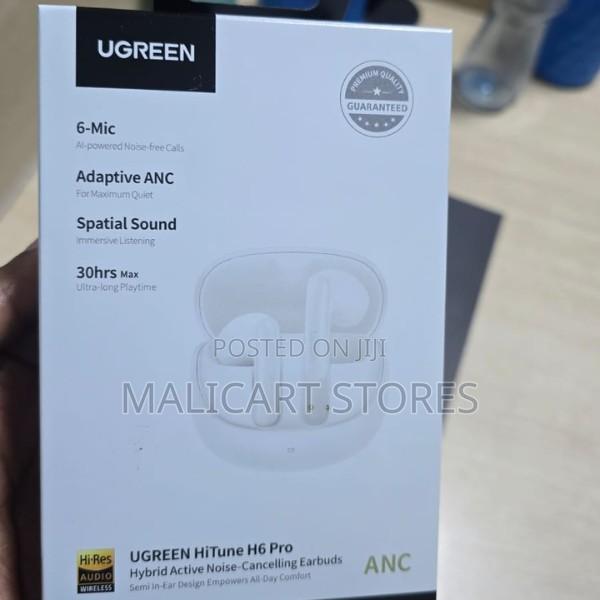 Ugreen Hitune H6 Pro Hybrid Earbuds - main view