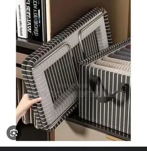 Checked Collapsible Closet Organiser