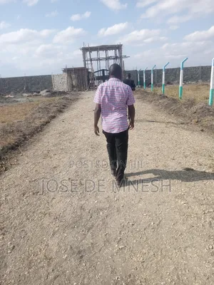 Isinya Plots