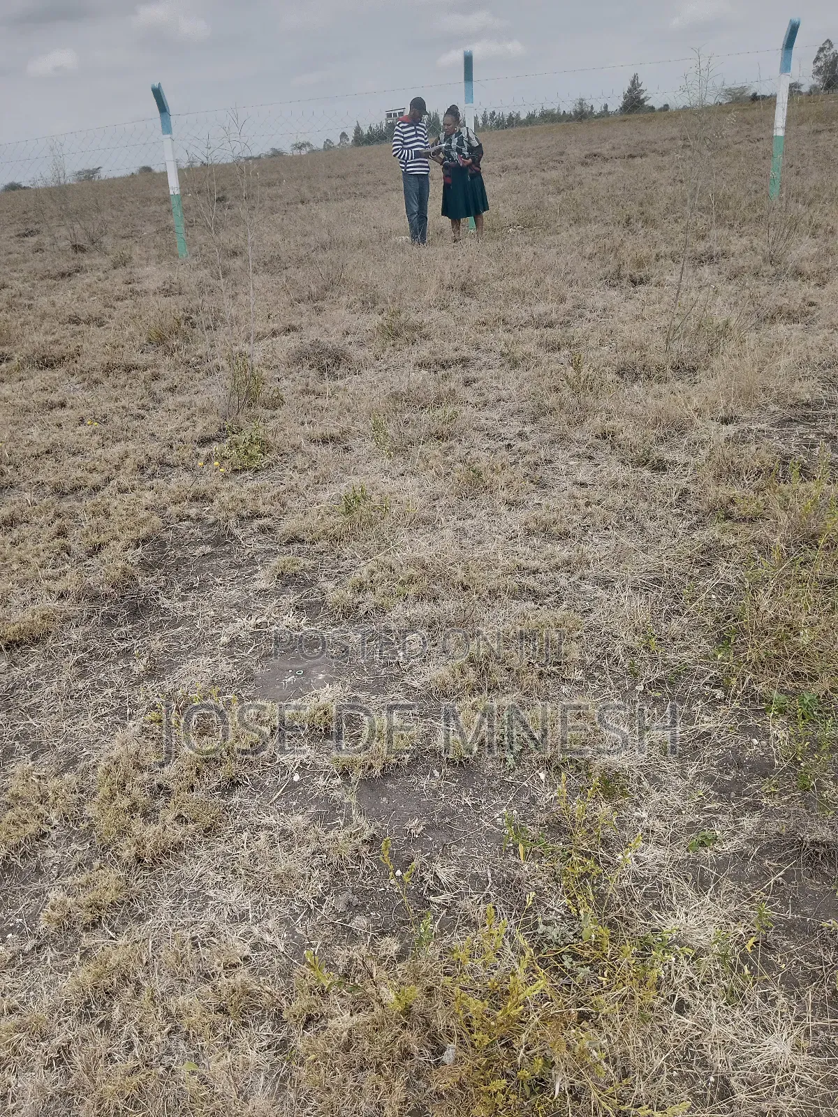 Isinya Plots