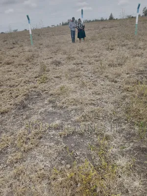 Isinya Plots