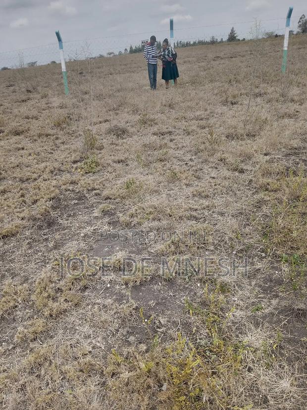 Isinya Plots - thumbnail 3